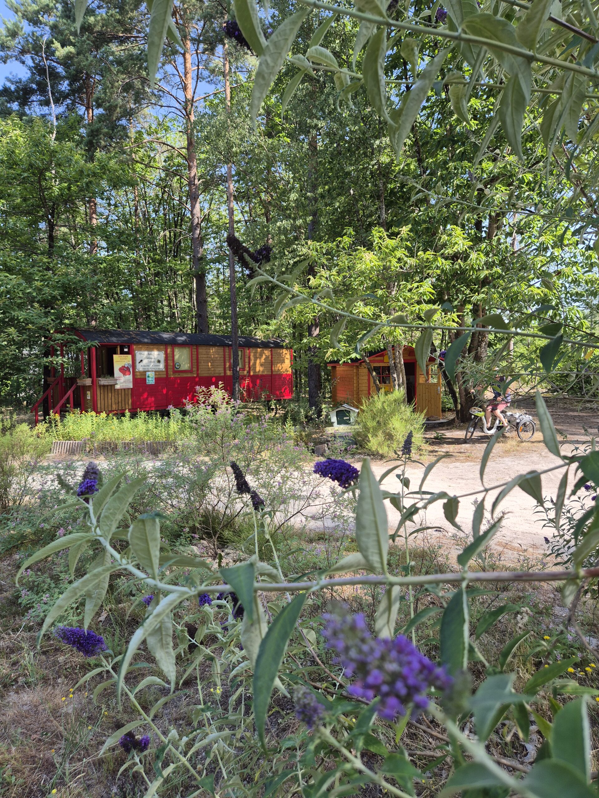 vue rouotte bugdelhia